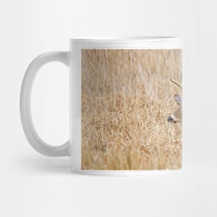 In the marsh - White-tailed deer Mug